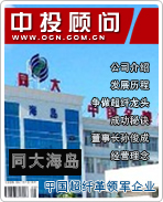 同大海島:中國超纖革領(lǐng)軍企業(yè)