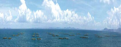 廣東·陽江市海納海洋科技產(chǎn)業(yè)園產(chǎn)業(yè)發(fā)展規(guī)劃、招商策劃